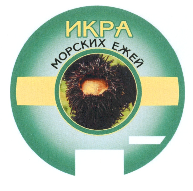 Морской Еж Магазин Иваново