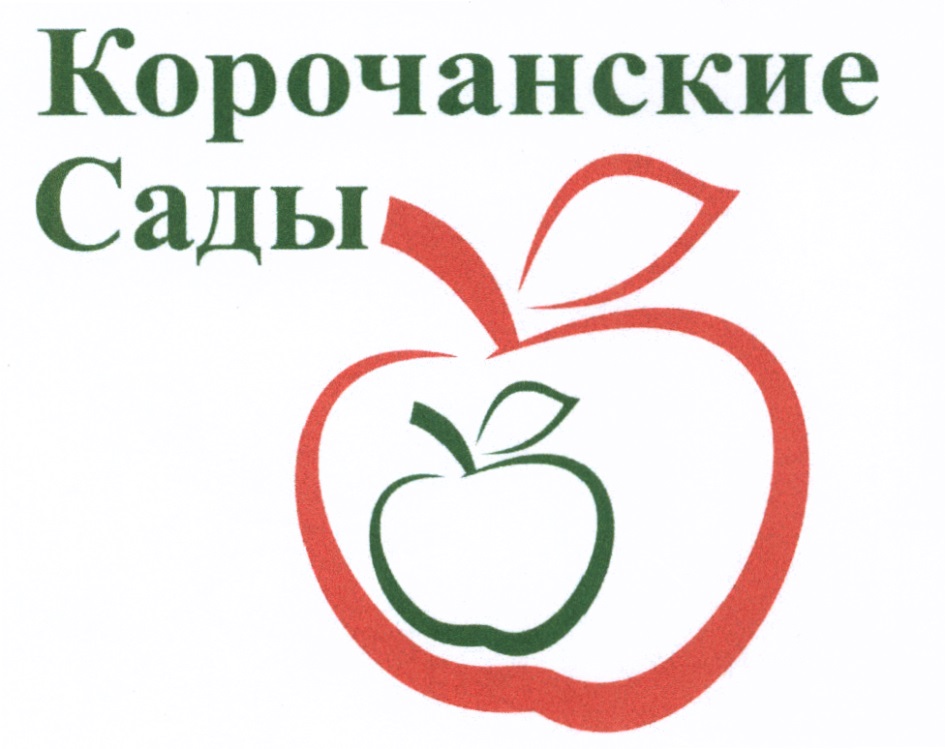 Айкон Магазин Белгород Режим Работы Айкон Магазин Белгород Режим Работы