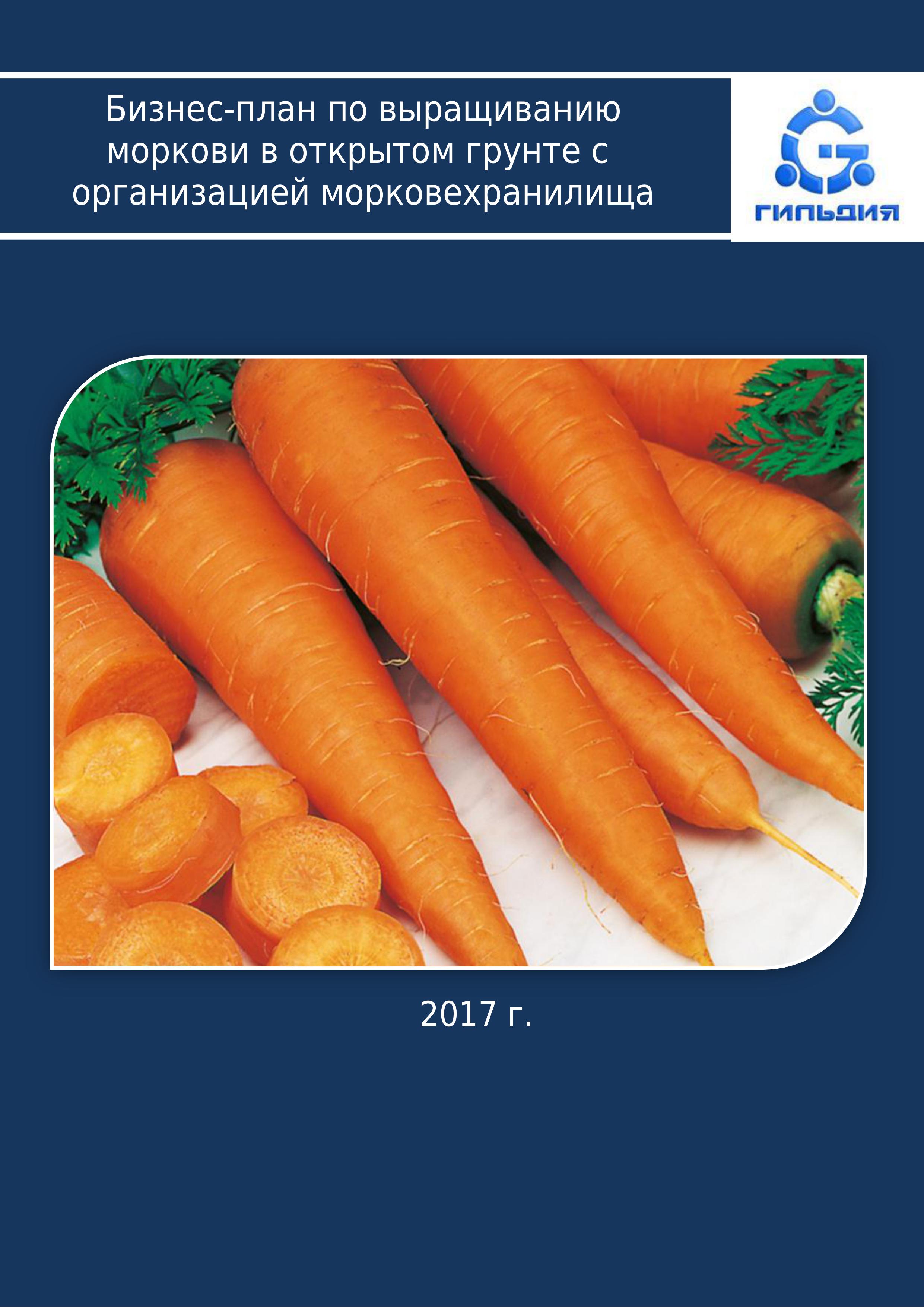 Выращивание моркови как бизнес: организация и план - бизнес идеи 72 Выращивание моркови как бизнес: организация и план - бизнес идеи 87