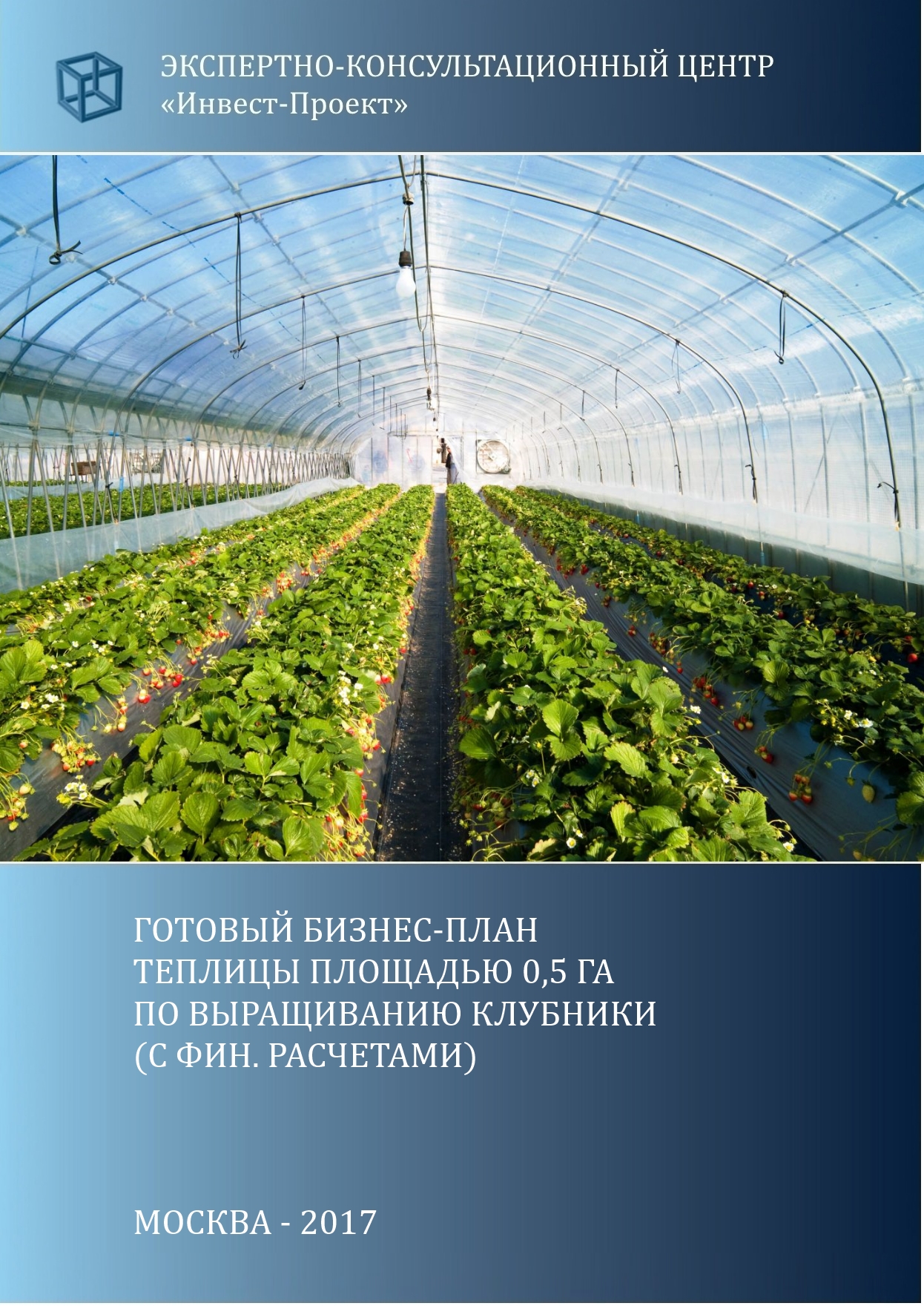 Свой бизнес по выращиванию клубники Свой бизнес по выращиванию клубники