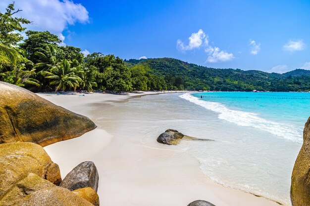 https://ru.freepik.com/free-photo/beach-surrounded-by-the-sea-rocks-and-greenery-under-the-sunlight-in-praslin-in-seychelles_10729196.htm#query=seychelles&from_query=%D0%A1%D0%B5%D0%B9%D1%88%D0%B5%D0%BB%D1%8B&position=17&from_view=search&track=sph&uuid=60d37228-aa65-4188-a42a-5cdb87c06827