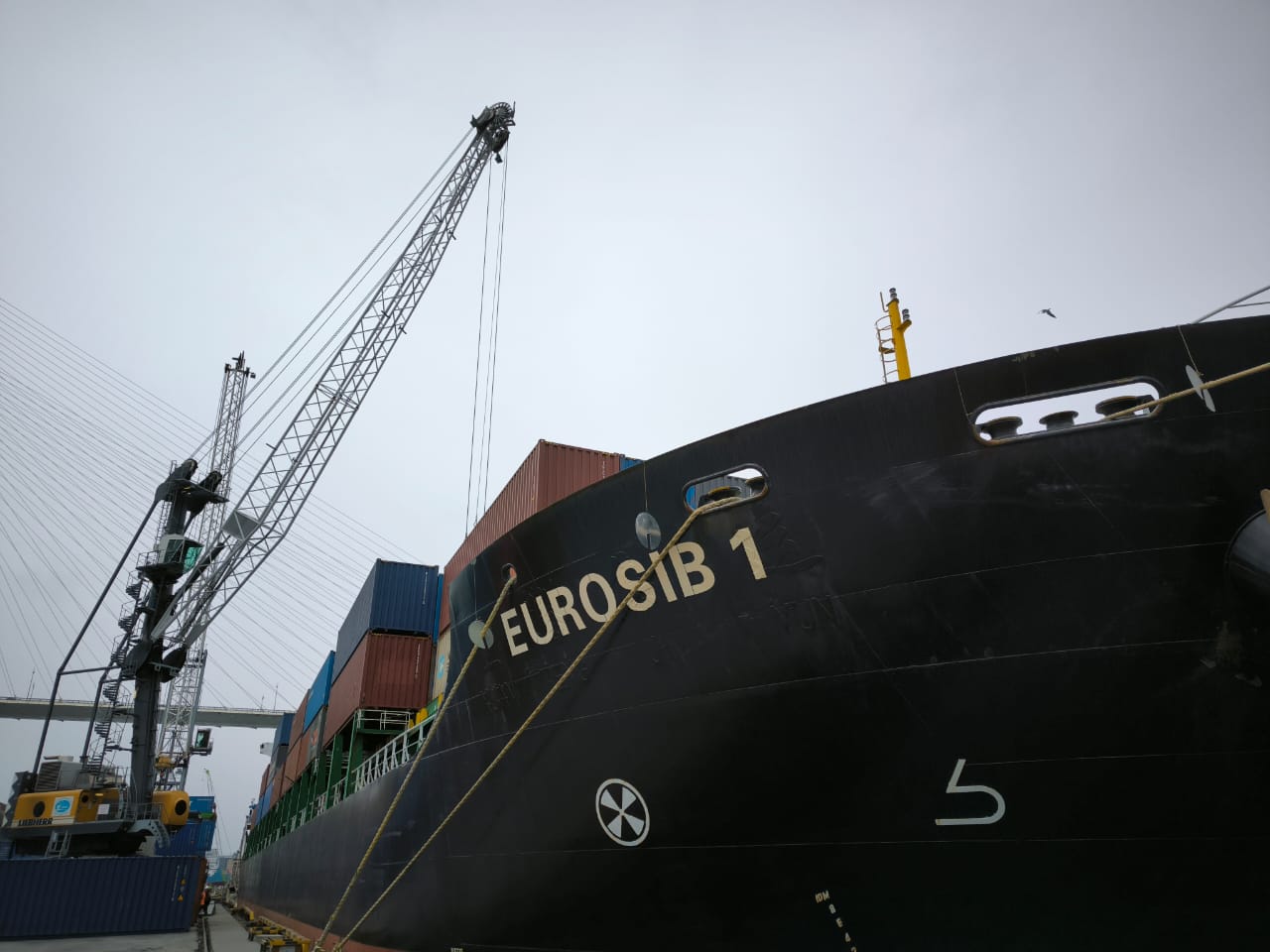 Группа «ЕВРОСИБ» расширяет контейнерный флот на Дальнем Востоке