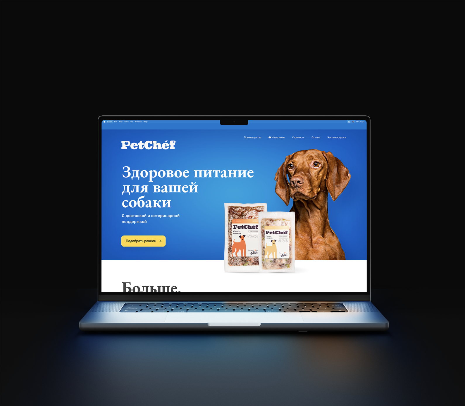 Дизайн для запуска нового бренда на рынок за 1 месяц: кейс PetChef