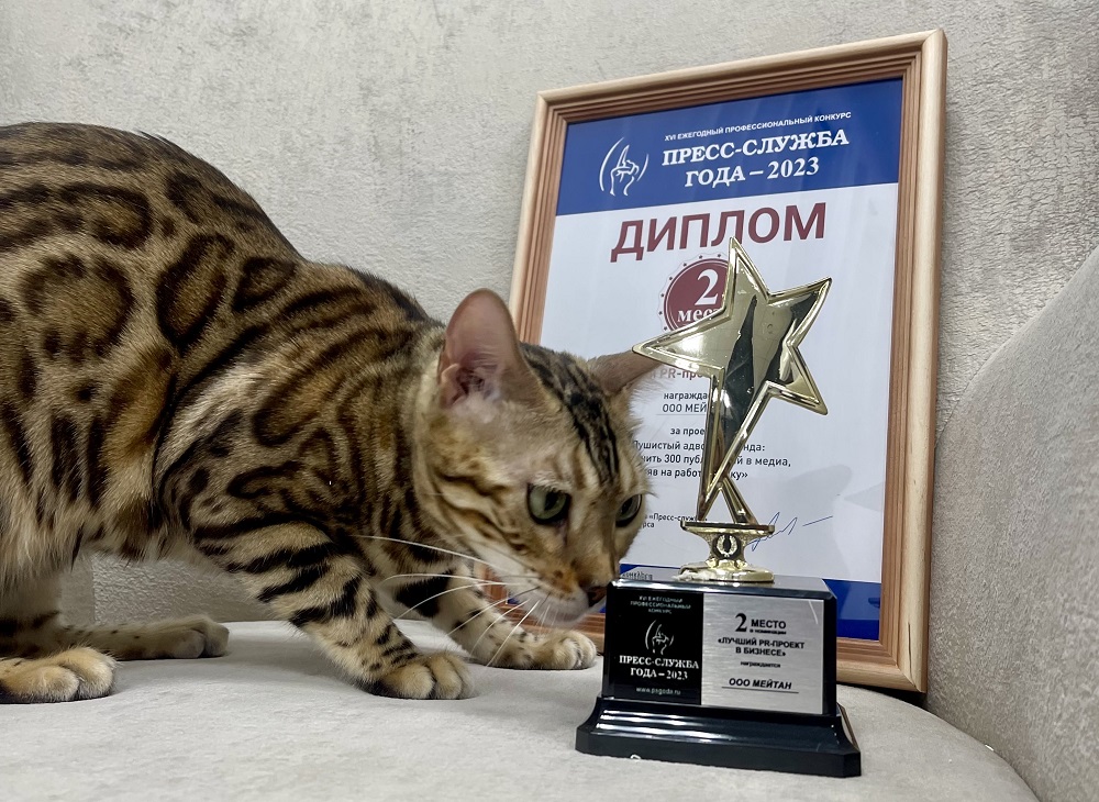Проект с участием кошки стал призером конкурса «Пресс-служба года»