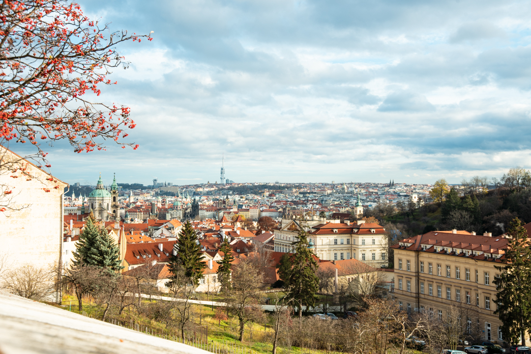 Выпускники первого потока HAIR EXPERT UNIVERSITY получат дипломы в Праге