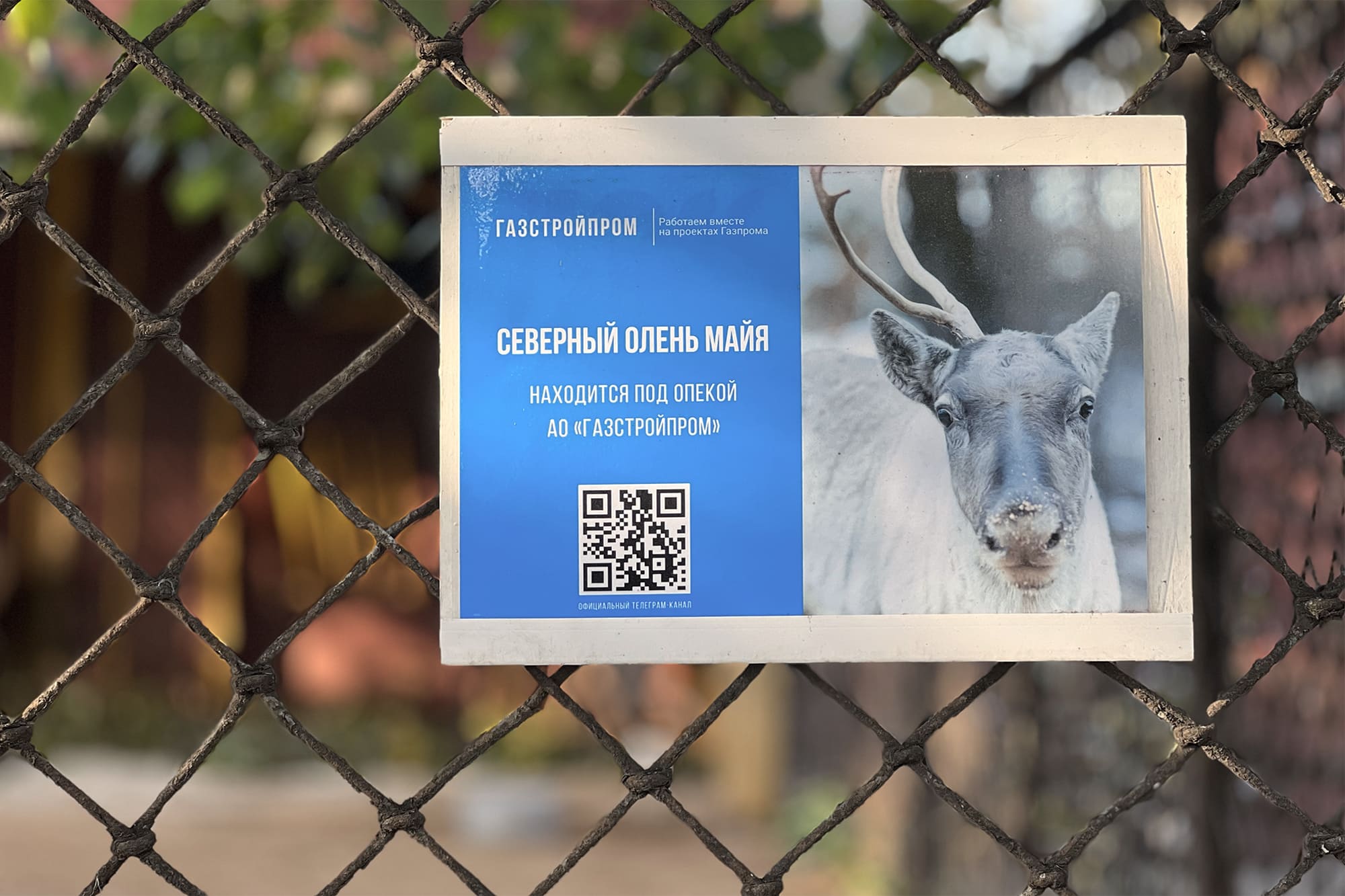 «Газстройпром» помогает Ленинградскому зоопарку