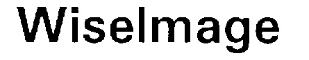 WISELMAGE