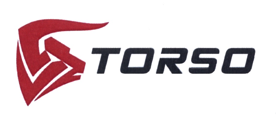 TORSO