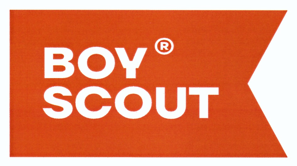 boy scout net worth - Ilustrasi 3