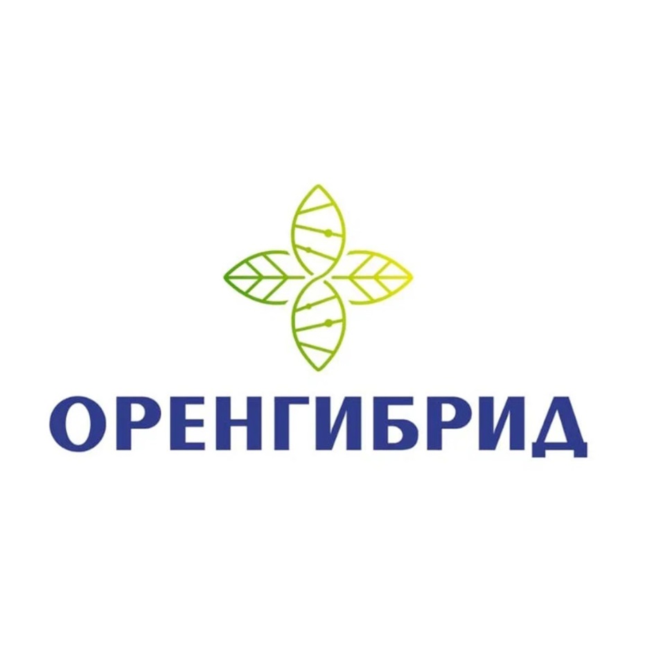 ОРЕНГИБРИД