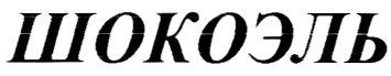 ШОКОЭЛЬ