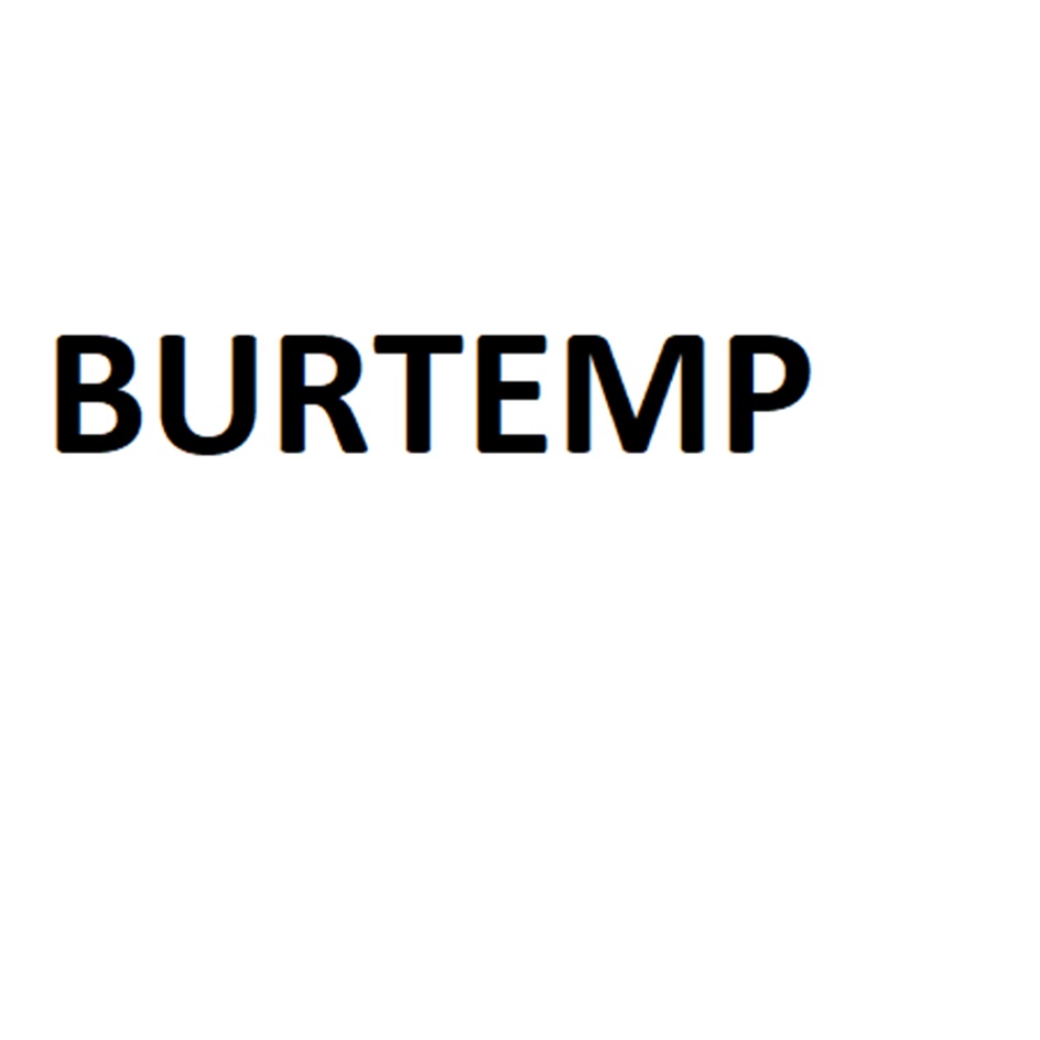 BURTEMP