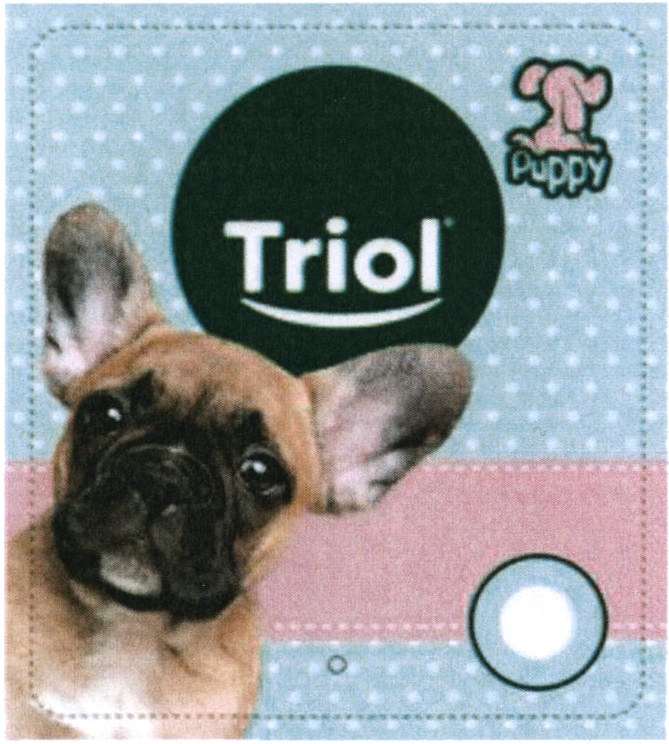 TRIOL PUPPY