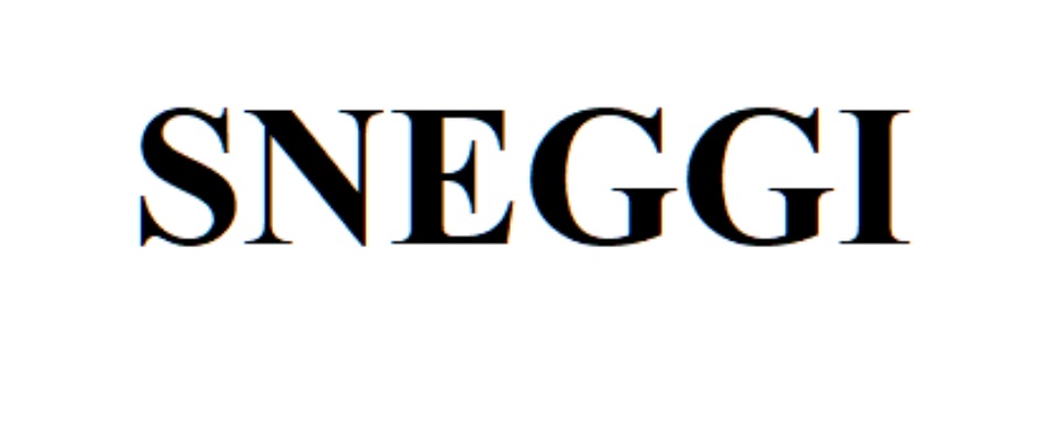 SNEGGI