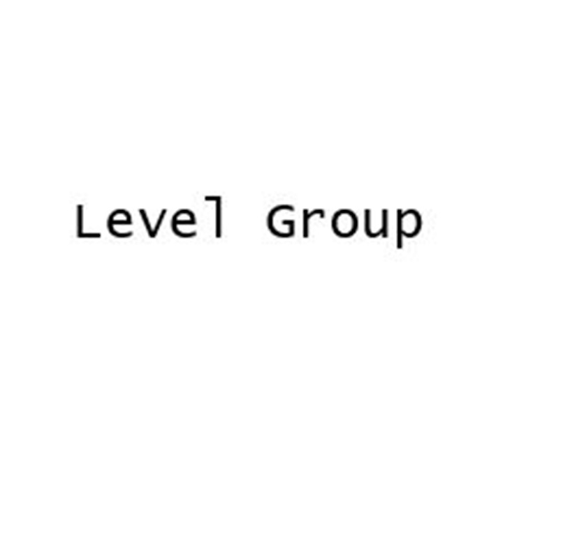 LEVEL GROUP