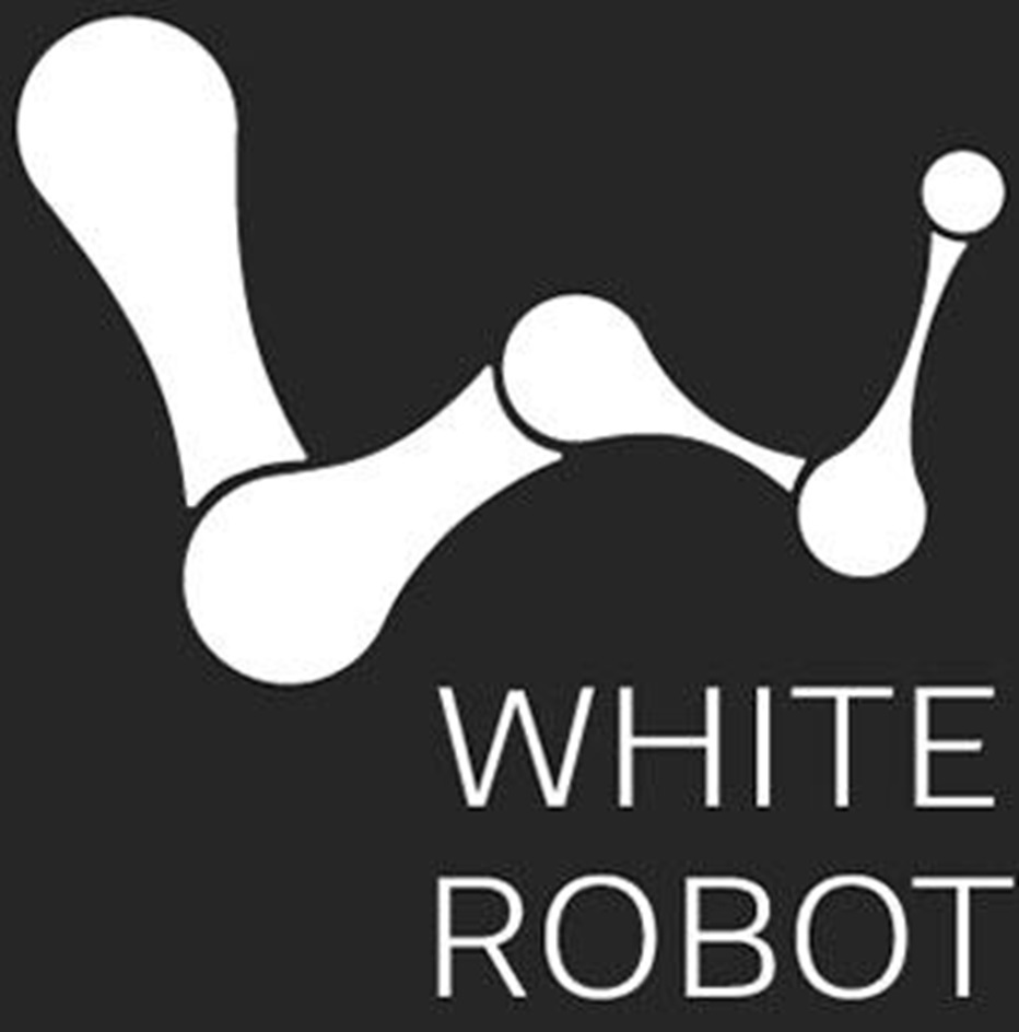 WHITE ROBOT
