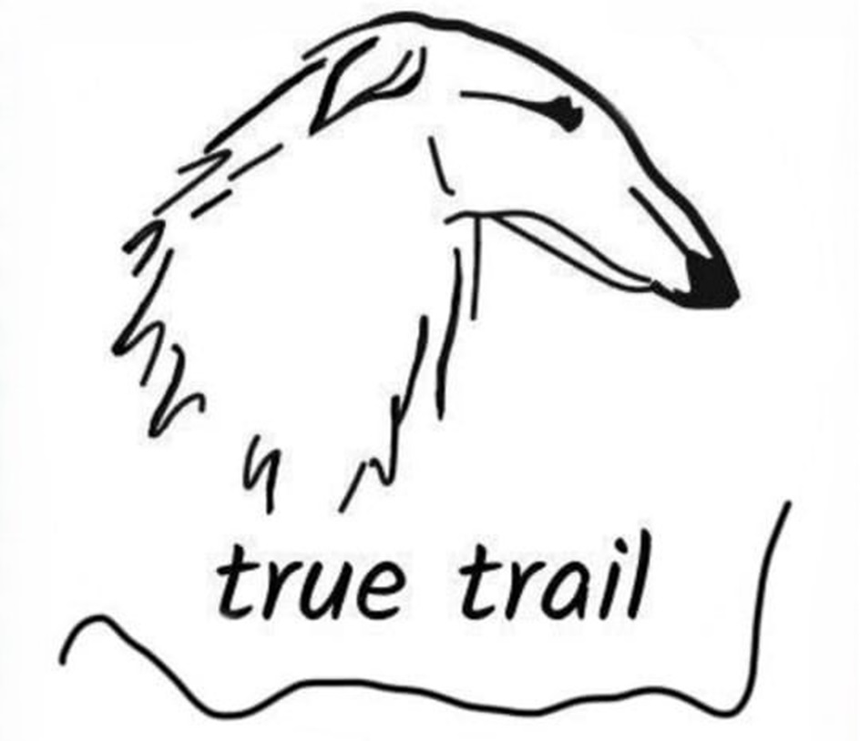 true trail