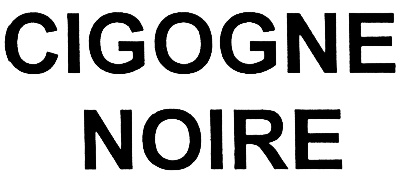 CIGOGNE NOIRE
