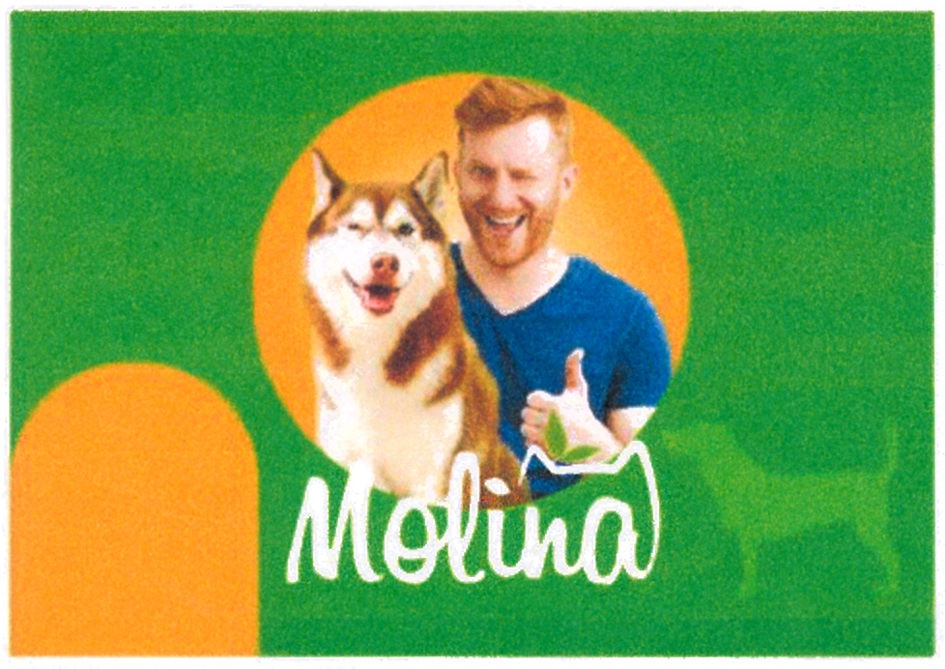 MOLINA
