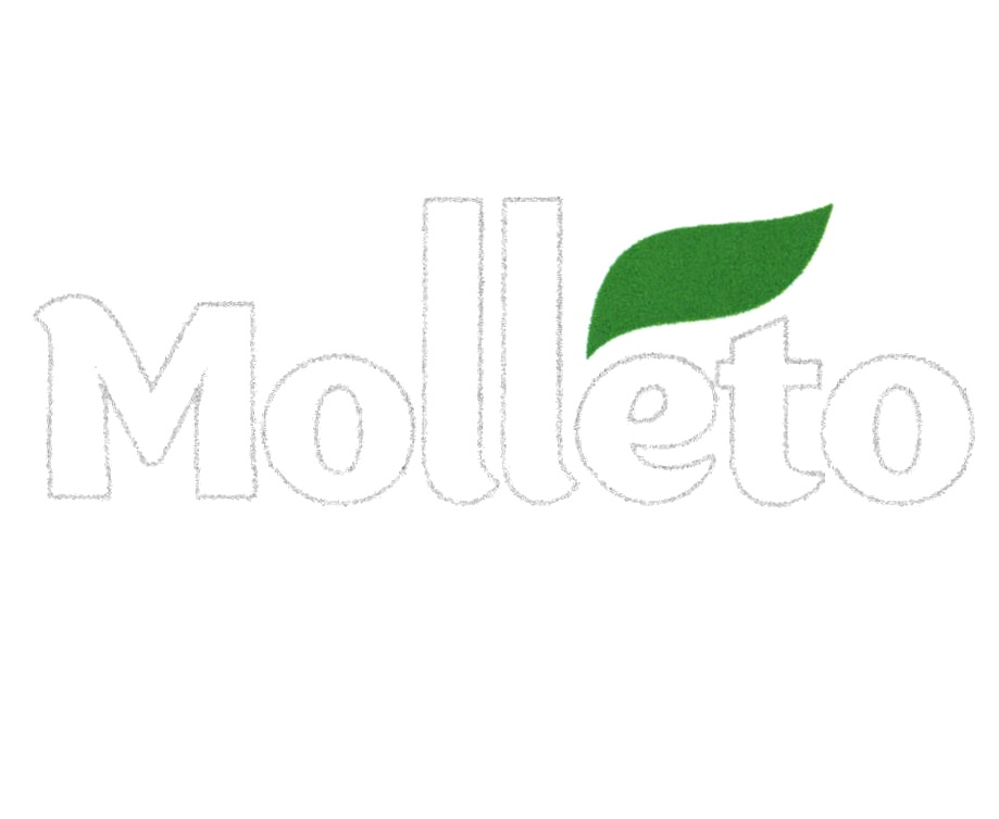 MOLLETO