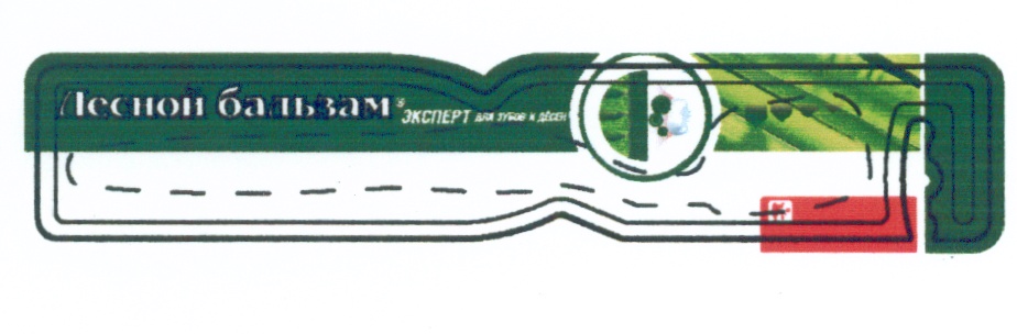 ЛЕСНОЙ БАЛЬЗАМ ЭКСПЕРТ ДЛЯ ЗУБОВ И ДЕСЕН