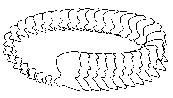 Торговая марка №238110