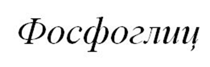 ФОСФОГЛИЦ