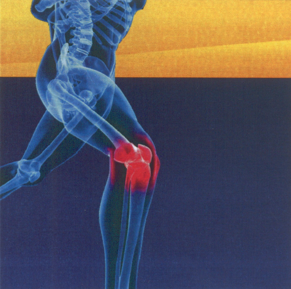 Торговая марка №498814