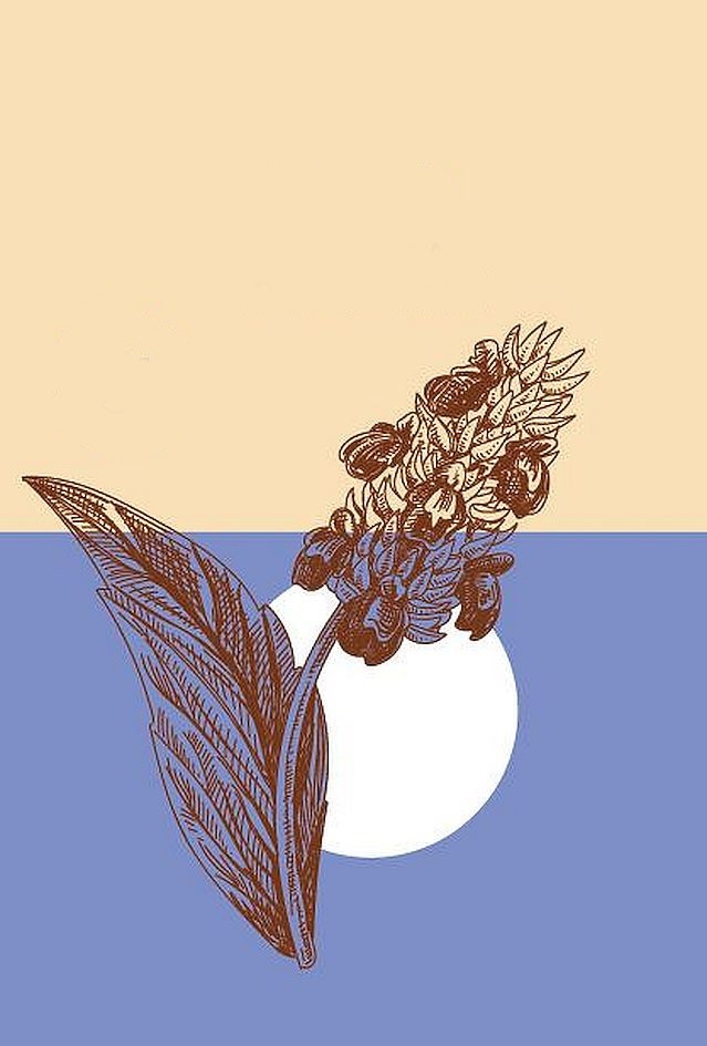 Торговая марка №1162577