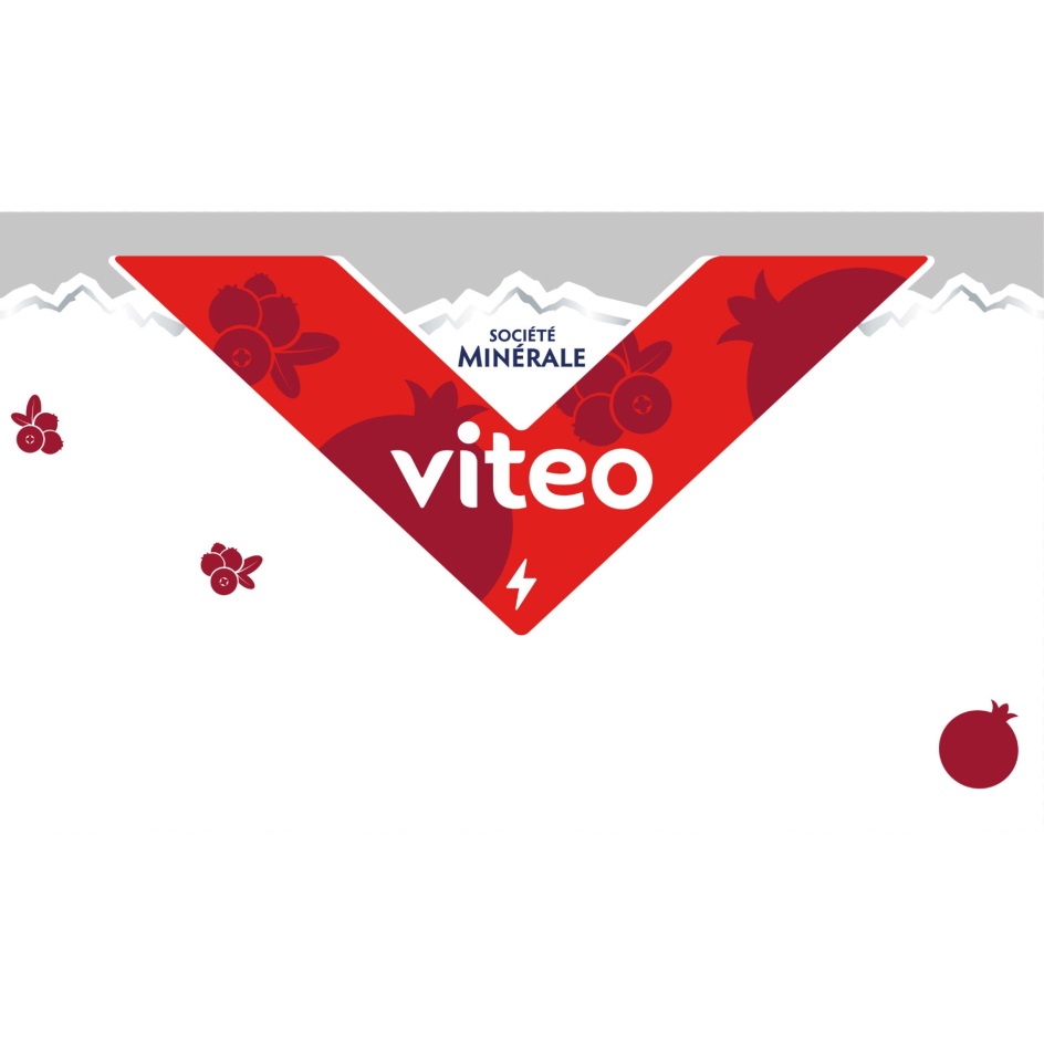 VITEO SOCIETE MINERALE