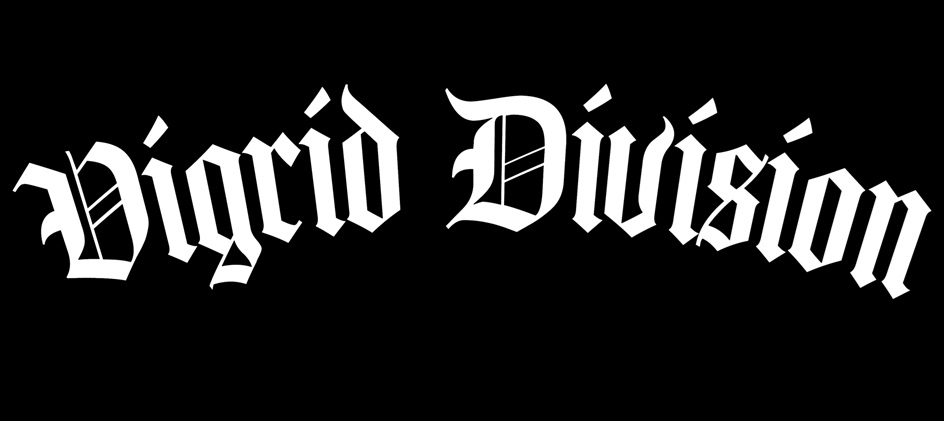VIGRID DIVISION