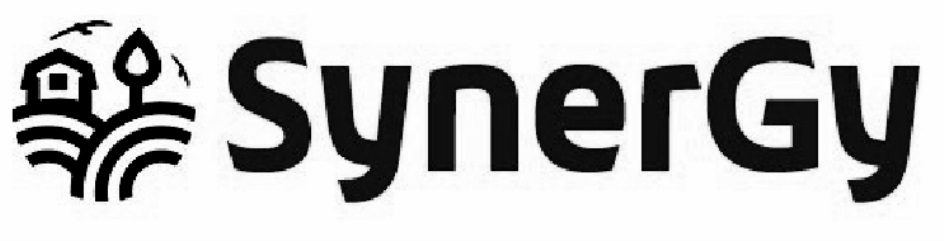 SYNERGY