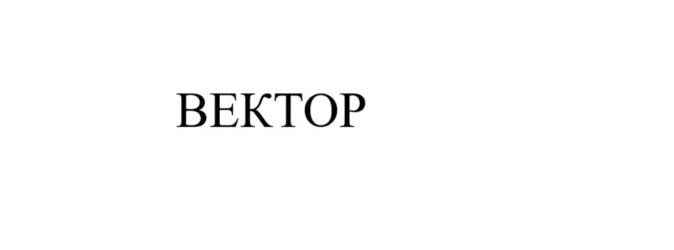 ВЕКТОР