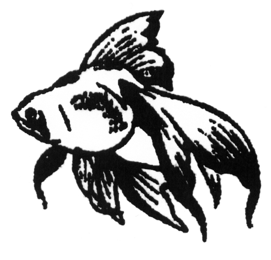 Торговая марка №524543