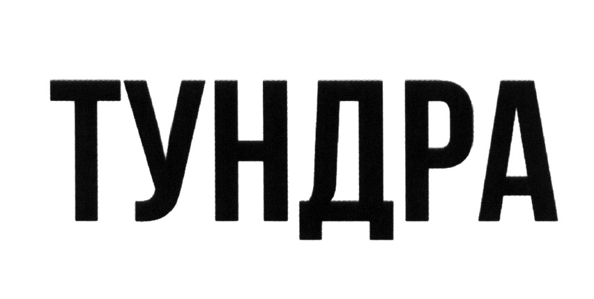 ТУНДРА
