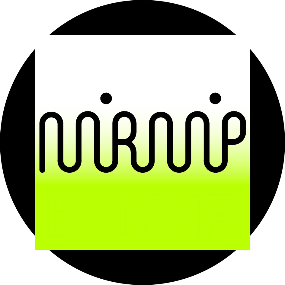 mirmir net worth