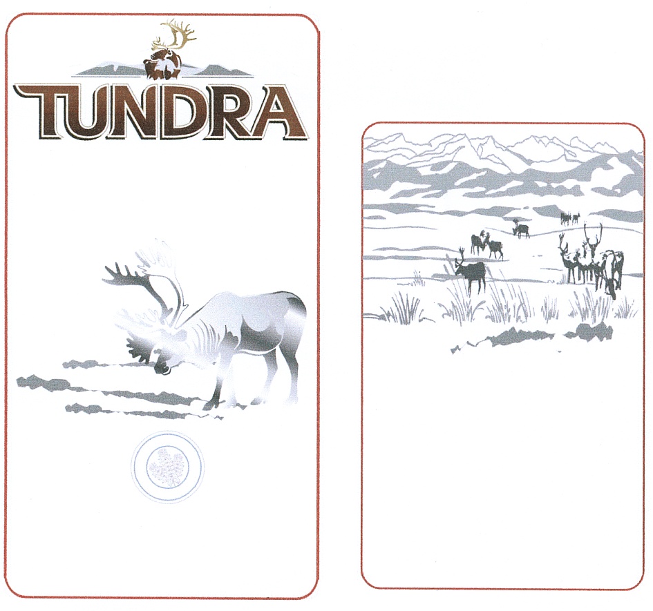 TUNDRA