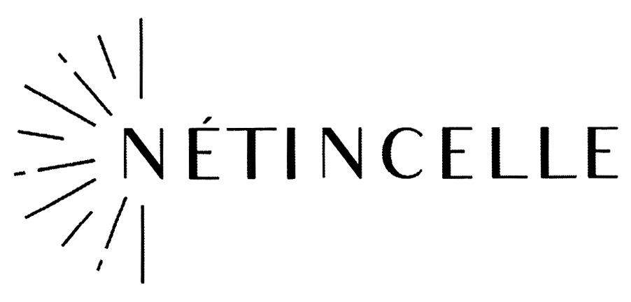 NETINCELLE