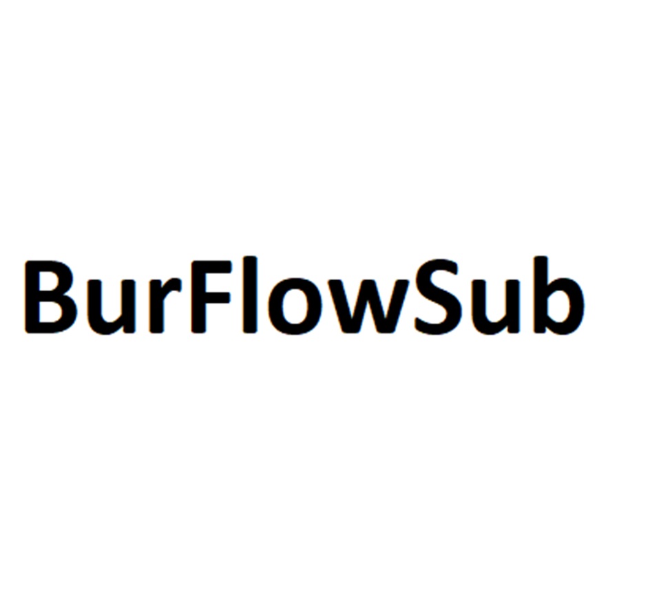 BURFLOWSUB