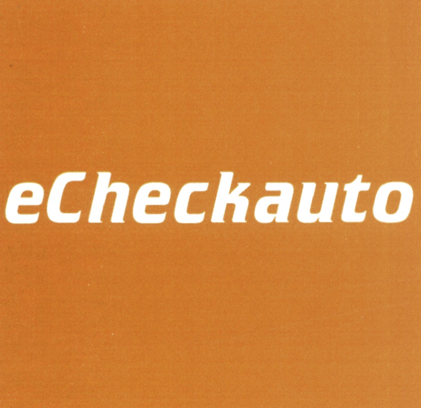 Торговая марка №568666 – ECHECKAUTO CHECKAUTO ECHECK CHECKAUTO ECHECK ...