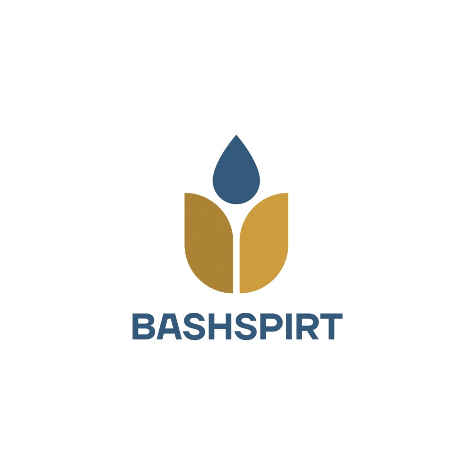 BASHSPIRT