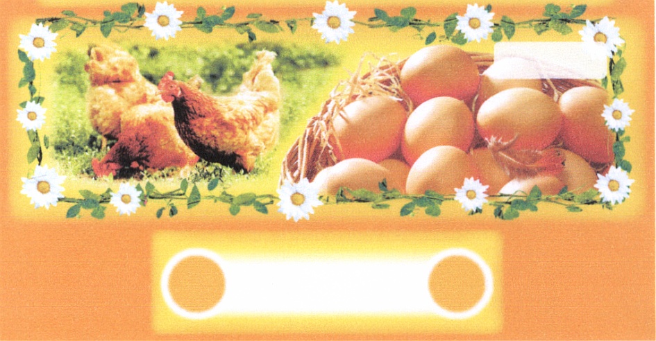 Торговая марка №387555