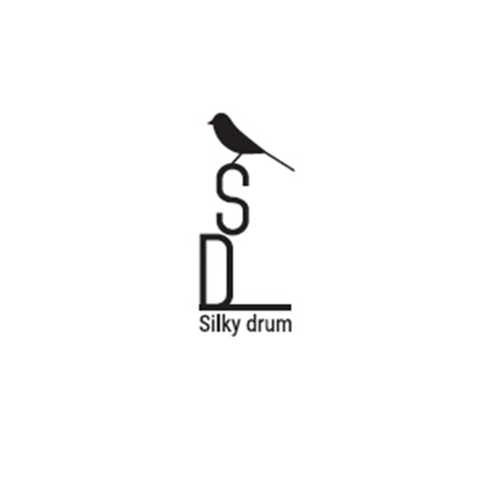 silky net worth