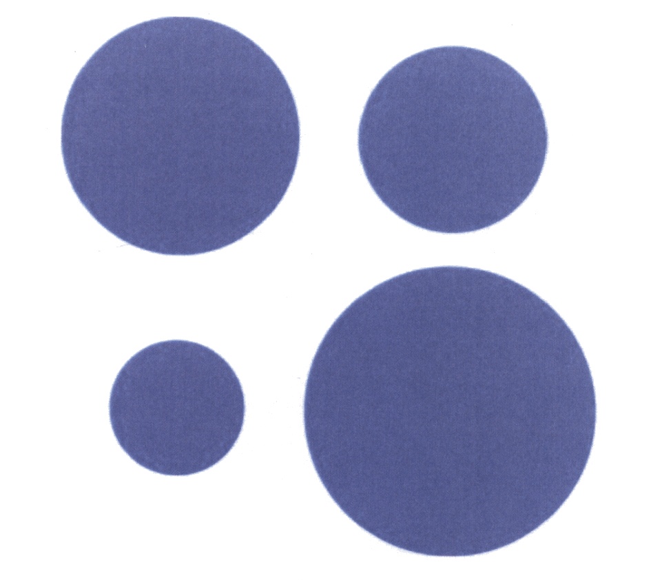 Торговая марка №562543