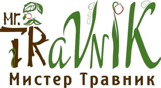 Книга травничества. Травник лекарственные растения. Травник книга обложка. Русский травник книга. Буквы травник.