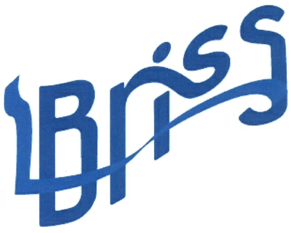 BRISS