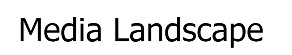 MEDIA LANDSCAPE