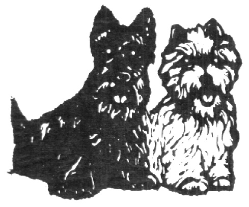 Торговая марка №55008