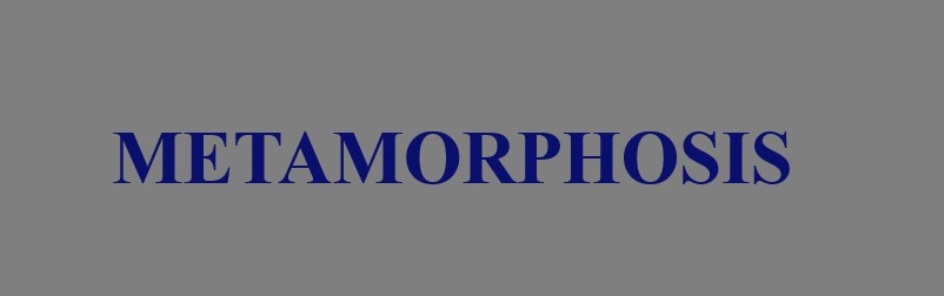 METAMORPHOSIS