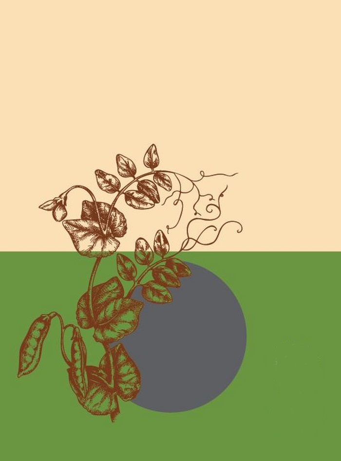 Торговая марка №1161334